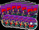Thumbnail PLR Mastery for Internet Marketers- make more money
